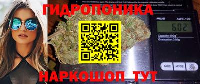 шишки Анжеро-Судженск