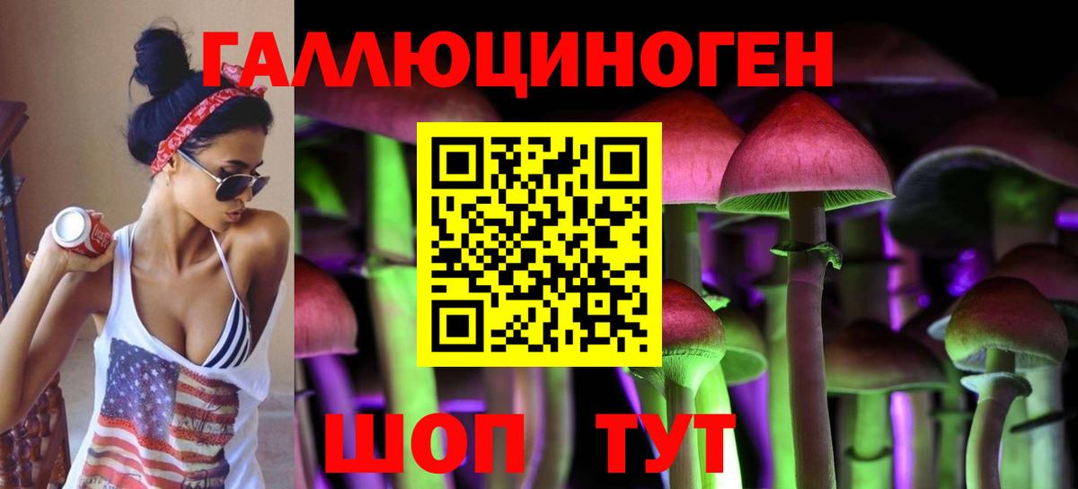 Псилоцибиновые грибы мицелий Вольск